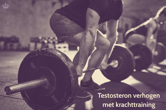Krachttraining voor testosteronverhoging informatief artikel met oefeningen en trainingstips voor mannelijke hormonen