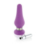Paarse siliconen buttplug medium formaat met afneembare zilveren bullet vibrator